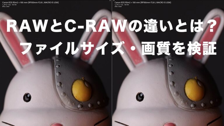 RAWとC-RAWの違いとは？ファイルサイズ・画質を検証してみる：キヤノンユーザー向け