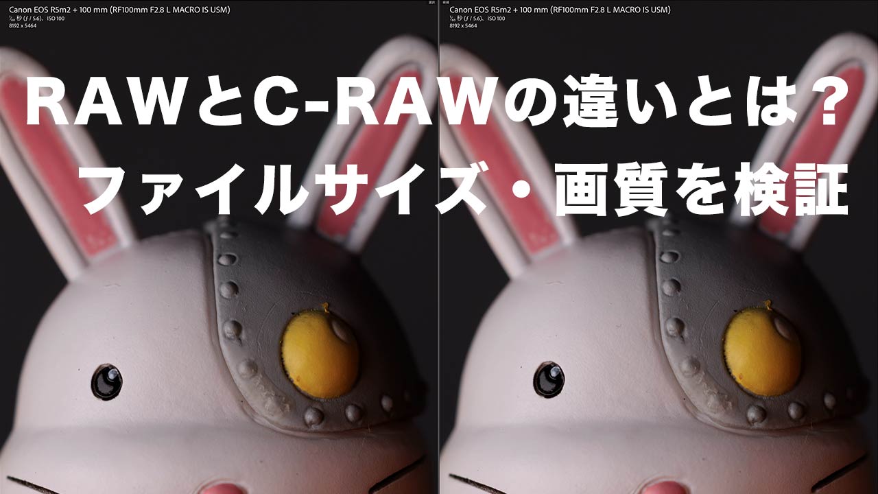 タイトル画像　RAWとC-RAWの違いとは？ファイルサイズ・画質を検証してみる：キヤノンユーザー向け